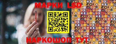 a pvp Краснознаменск