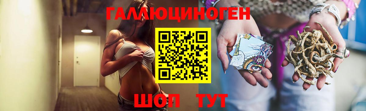 Томск  Псилоцибиновые грибы GOLDEN TEACHER  Галлюциногенные грибы прущие грибы  Вход с VPN 